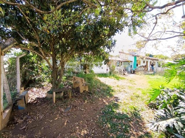 Sítio e chácara aluguel em Região Imediata de São Carlos, São Carlos