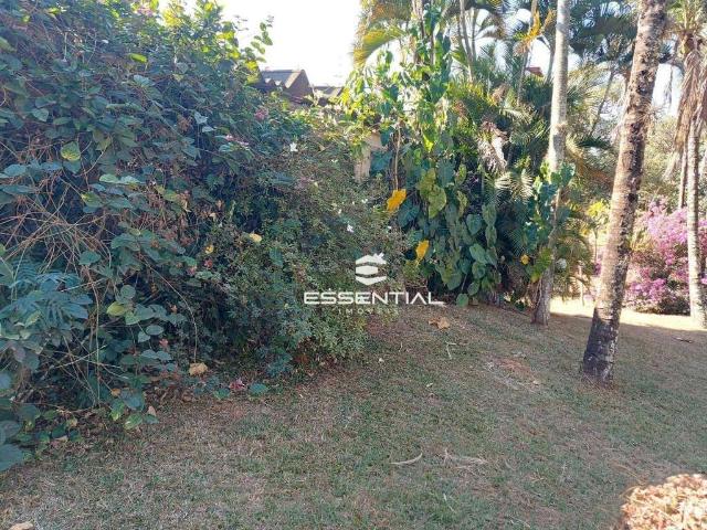 Sítio e chácara aluguel em São José do Rio Preto