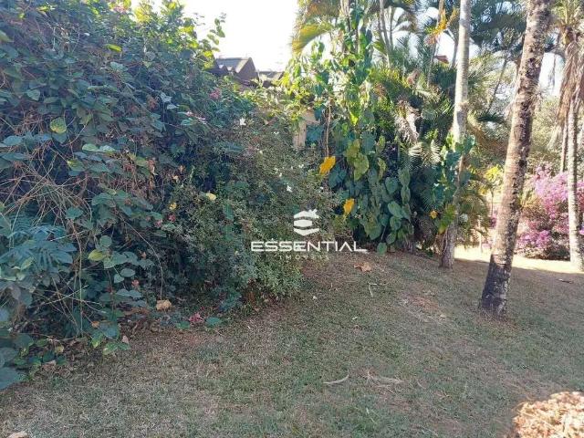 Sítio e chácara aluguel em Região Imediata de São José do Rio Preto, Região Metropolitana de São José do Rio Preto