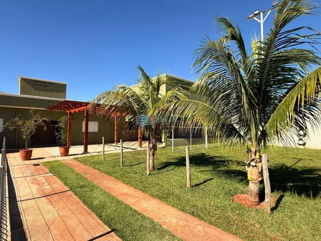 Sítio e chácara aluguel em São José do Rio Preto