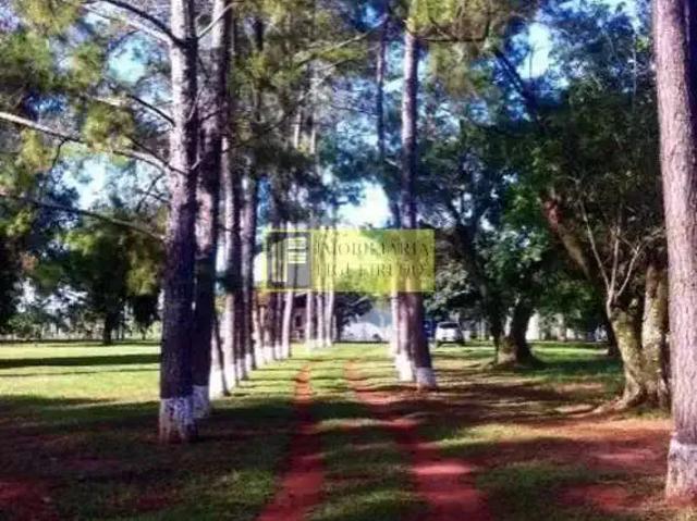 Sítio e chácara aluguel em Região Imediata de São José do Rio Preto, Região Metropolitana de São José do Rio Preto