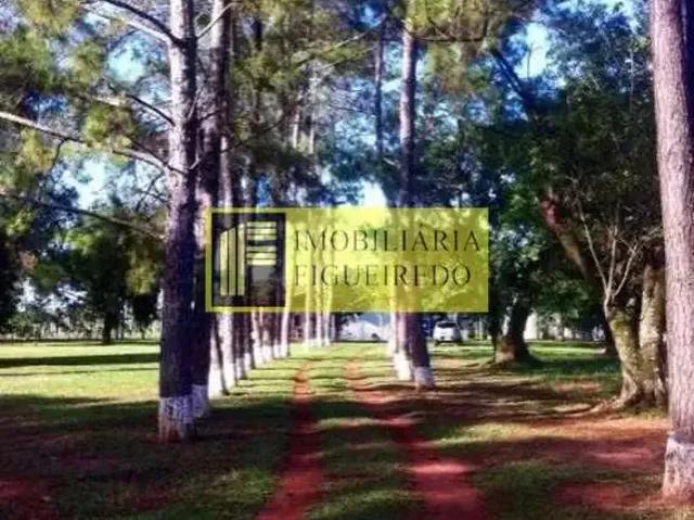 Sítio e chácara aluguel em Região Imediata de São José do Rio Preto, Região Metropolitana de São José do Rio Preto