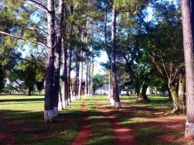 Sítio e chácara aluguel em Região Imediata de São José do Rio Preto, Região Metropolitana de São José do Rio Preto