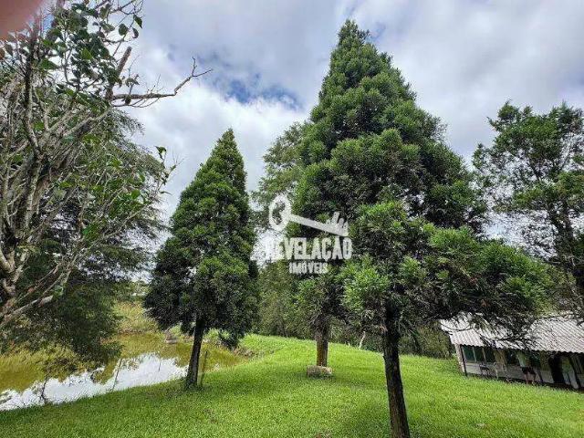 Sítio e chácara aluguel em Região Geográfica Imediata de Curitiba, Região Metropolitana de Curitiba
