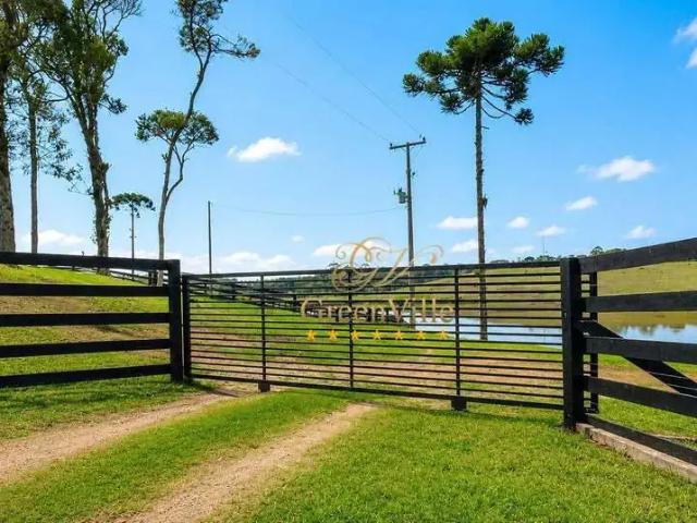 Sítio e chácara aluguel em Região Geográfica Imediata de Curitiba, Região Metropolitana de Curitiba