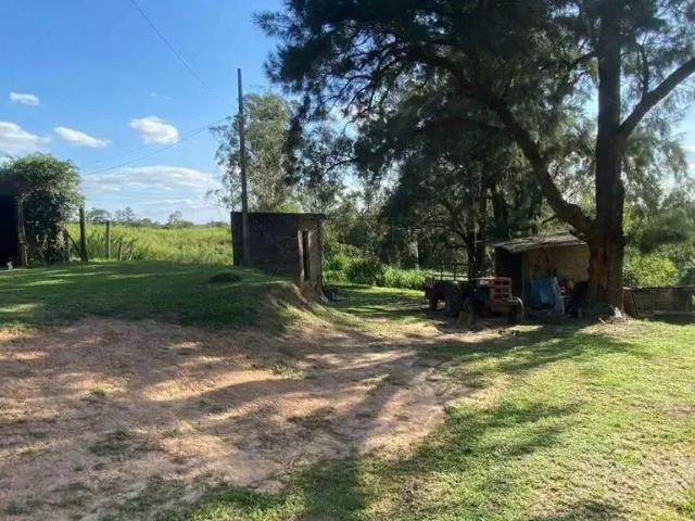 Sítio e chácara aluguel em Região Imediata de Piracicaba, Região Metropolitana de Piracicaba