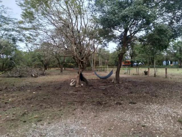 Sítio e chácara aluguel em Região Geográfica Imediata de Cuiabá, Região Metropolitana do Vale do Rio Cuiabá