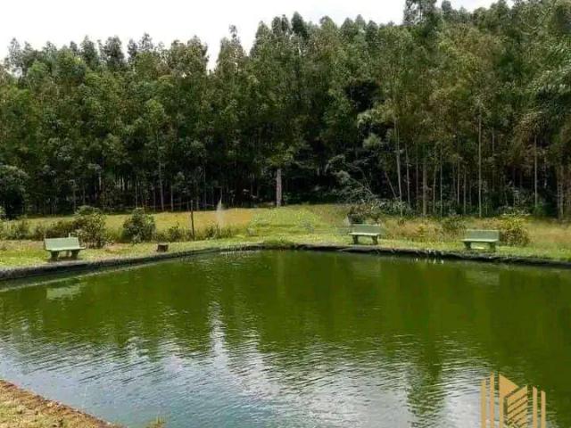 Sítio e chácara aluguel em Região Geográfica Imediata de Pouso Alegre, Silvianópolis