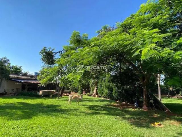 Sítio e chácara aluguel em Uberaba, Região Geográfica Intermediária de Uberaba