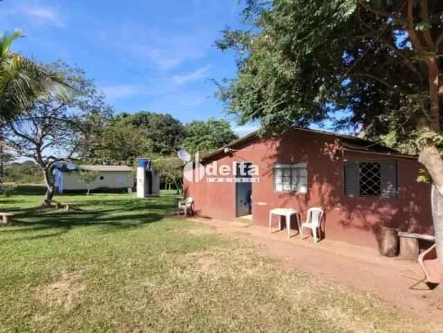 Sítio e chácara aluguel em Região Geográfica Imediata de Uberlândia, Oliveira Fortes