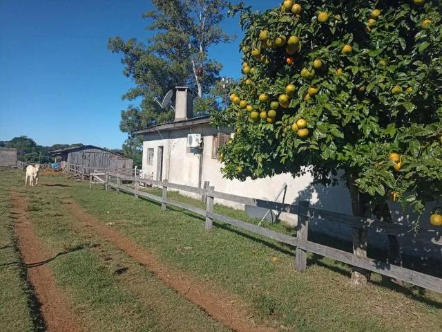 Sítio e chácara aluguel em Região Geográfica Imediata de Uruguaiana, Uruguaiana