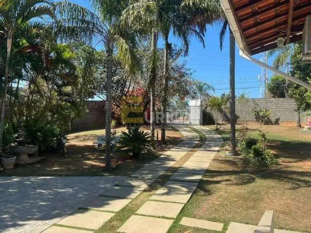 Sítio e chácara aluguel em Valinhos