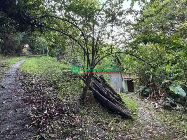 Sítio e chácara aluguel em Região Imediata de São Paulo, Região Metropolitana de São Paulo