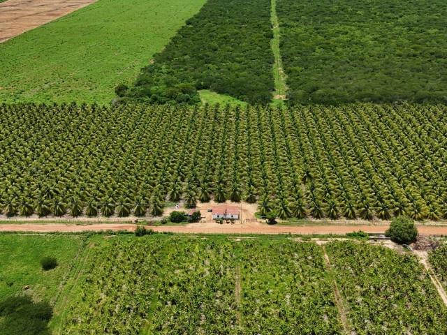 Sítio e chácara venda em Região Geográfica Imediata de Açu, Região Nordeste