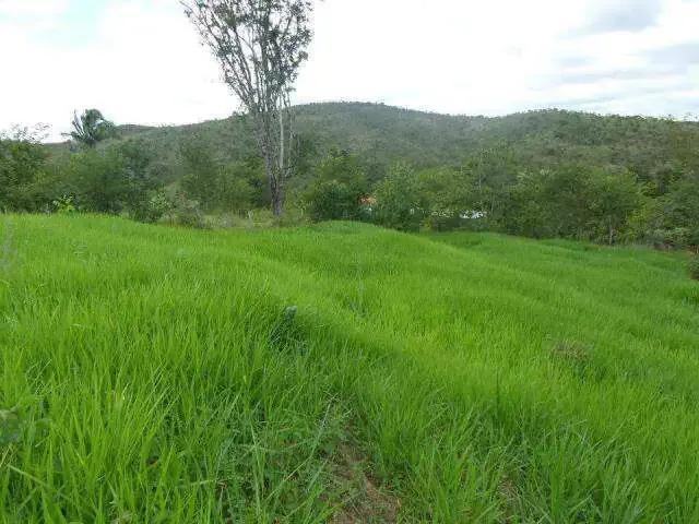 Sítio e chácara venda em Região Geográfica Imediata de Monte Carmelo, Abadia dos Dourados