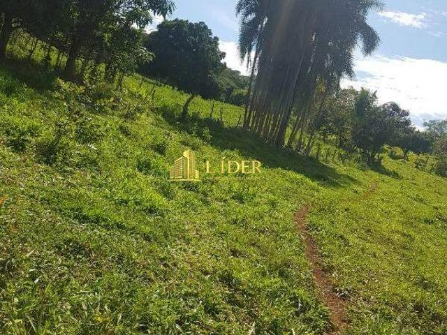 Sítio e chácara venda em Abadia dos Dourados, Região Geográfica Intermediária de Uberlândia