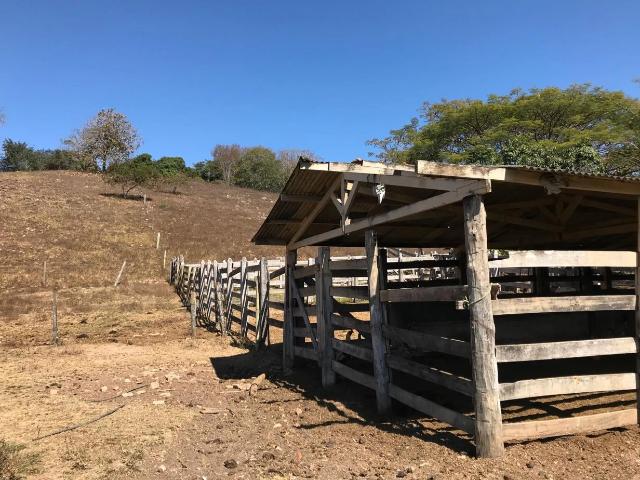 Sítio e chácara venda em Abadiânia, Região Geográfica Intermediária de Goiânia