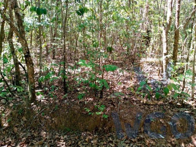 Sítio e chácara venda em Abadiânia, Região Geográfica Intermediária de Goiânia