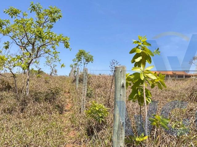 Sítio e chácara venda em Abadiânia, Região Geográfica Intermediária de Goiânia