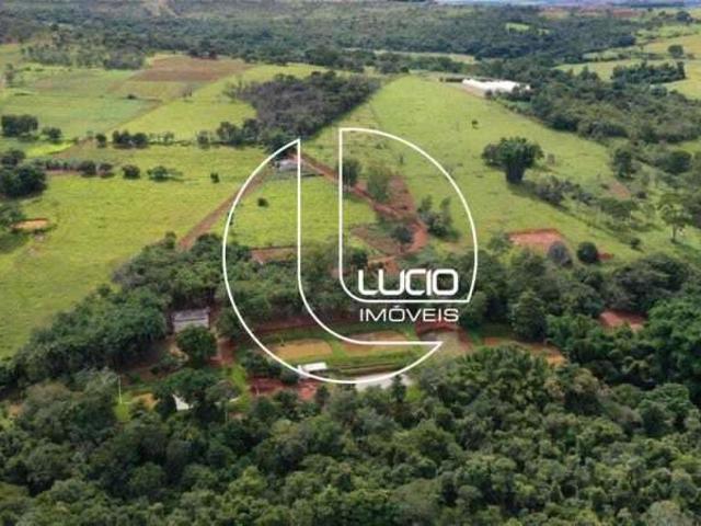 Sítio e chácara venda em Região Geográfica Imediata de Anápolis, Região Integrada de Desenvolvimento do Distrito Federal e Entorno