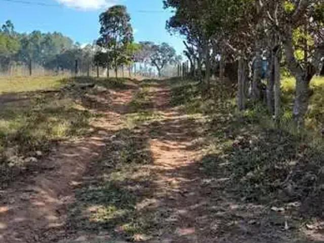 Sítio e chácara venda em Região Geográfica Imediata de Anápolis, Região Integrada de Desenvolvimento do Distrito Federal e Entorno