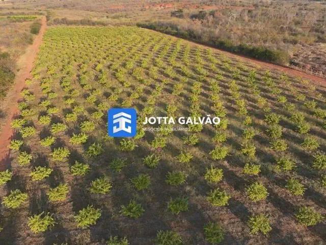 Sítio e chácara venda em Abaiara, Região Nordeste