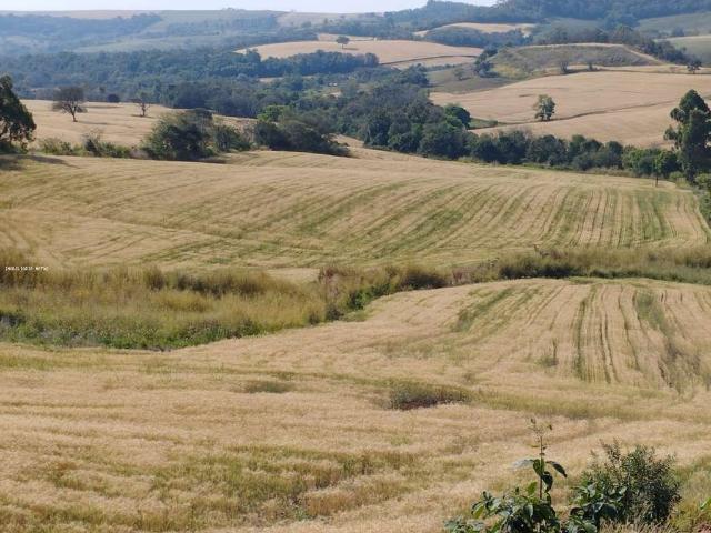 Sítio e chácara venda em Região Geográfica Imediata de Santo Antônio da Platina, Abatia