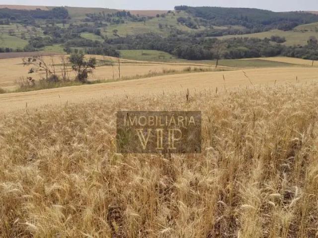 Sítio e chácara venda em Região Geográfica Imediata de Santo Antônio da Platina, Abatia