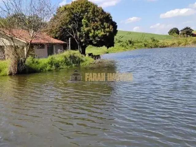 Sítio e chácara venda em Região Geográfica Imediata de Cornélio Procópio-Bandeirantes, Santa Amélia