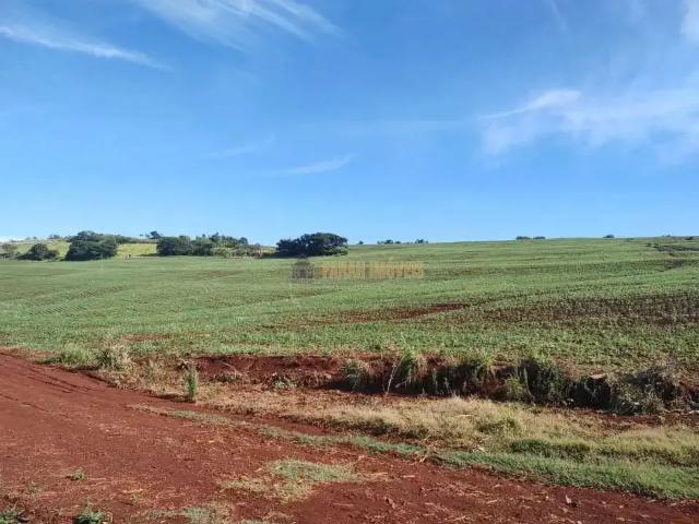 Sítio e chácara venda em Região Geográfica Imediata de Cornélio Procópio-Bandeirantes, Santa Amélia