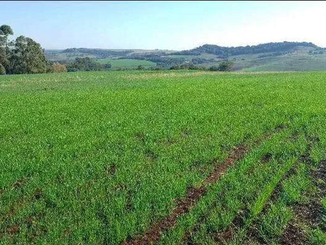 Sítio e chácara venda em Região Geográfica Imediata de Santo Antônio da Platina, Abatia