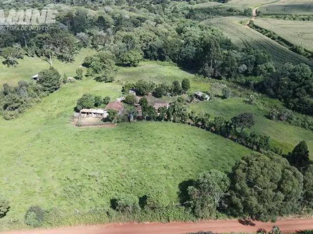 Sítio e chácara venda em Região Geográfica Imediata de Xanxerê, Abelardo Luz