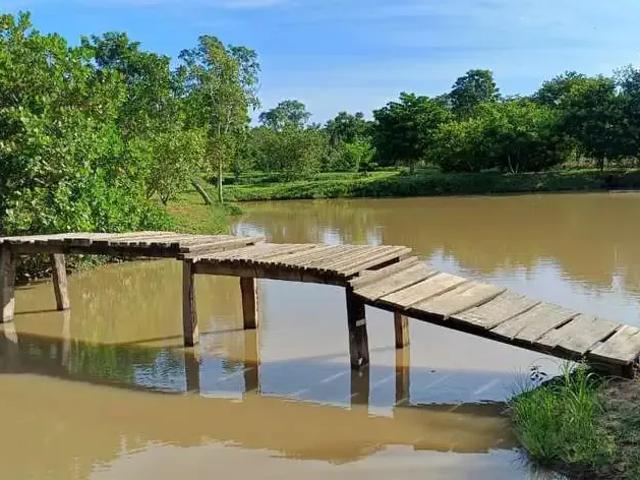 Sítio e chácara venda em Região Geográfica Imediata de Cuiabá, Região Metropolitana do Vale do Rio Cuiabá