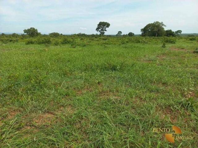 Sítio e chácara venda em Região Geográfica Imediata de Cuiabá, Região Metropolitana do Vale do Rio Cuiabá