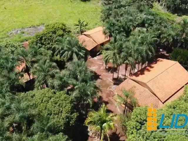 Sítio e chácara venda em Região Geográfica Imediata de Palmeiras de Goiás, Acreúna