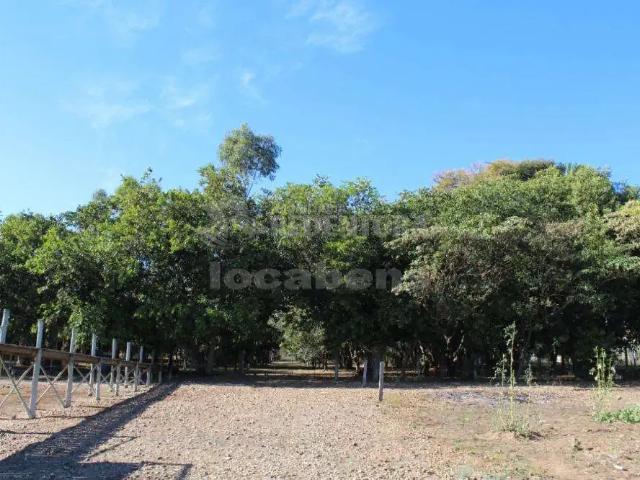 Sítio e chácara venda em Região Imediata de São José do Rio Preto, Região Metropolitana de São José do Rio Preto