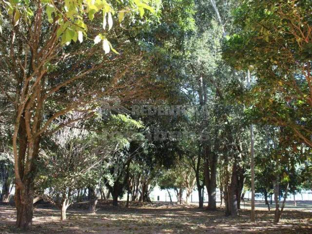 Sítio e chácara venda em Região Imediata de São José do Rio Preto, Região Metropolitana de São José do Rio Preto
