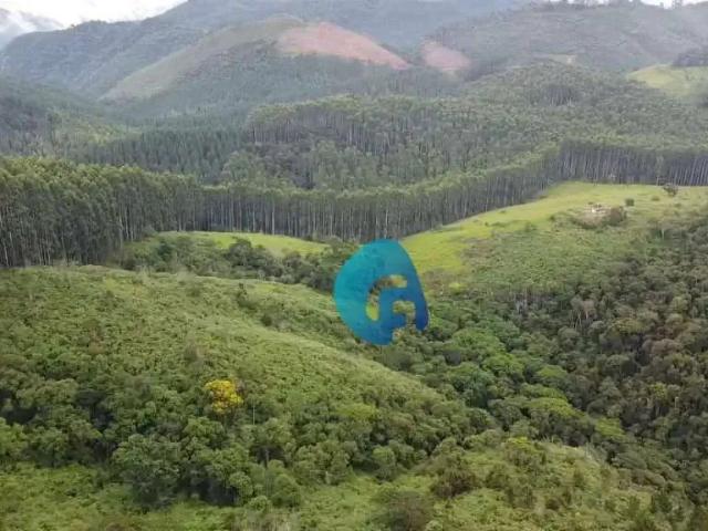 Sítio e chácara venda em Região Geográfica Imediata de Curitiba, Região Metropolitana de Curitiba