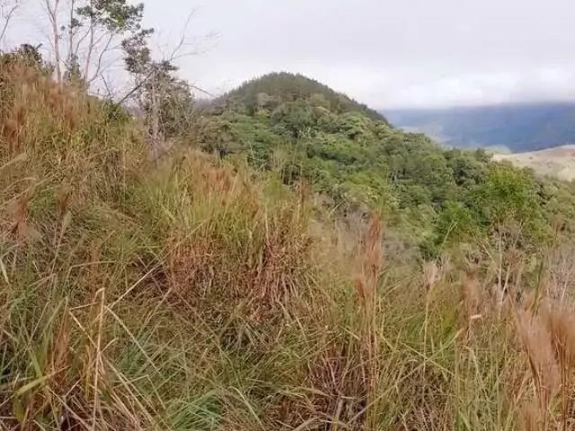 Sítio e chácara venda em Região Geográfica Imediata de Curitiba, Região Metropolitana de Curitiba