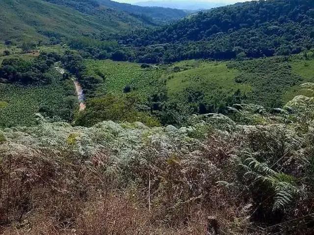 Sítio e chácara venda em Região Geográfica Imediata de Curitiba, Região Metropolitana de Curitiba