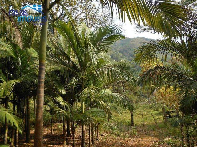 Sitio venda em Adrianópolis