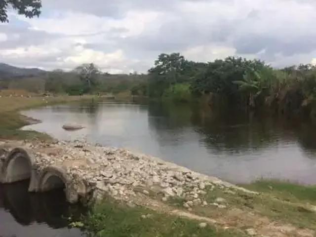 Sítio e chácara venda em Região Geográfica Imediata de Caruaru, Agrestina