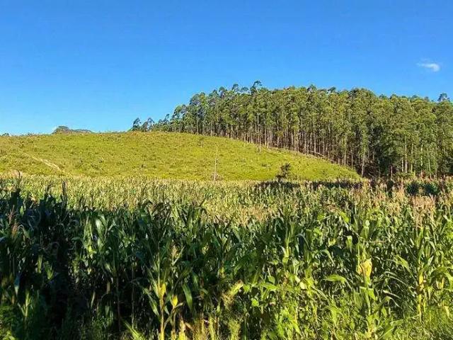 Sítio e chácara venda em Região Geográfica Imediata de Rio do Sul, Agrolândia