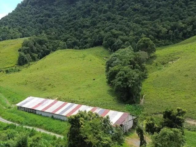 Sítio e chácara venda em Agrolândia, Região Geográfica Intermediária de Blumenau