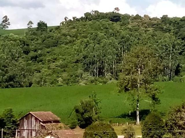 Sítio e chácara venda em Região Geográfica Imediata de Rio do Sul, Agronômica