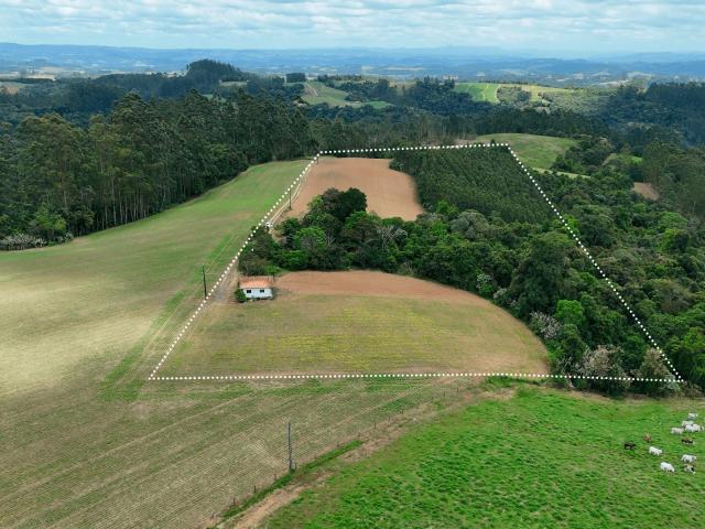Sítio e chácara venda em Região Geográfica Imediata de Rio do Sul, Agronômica