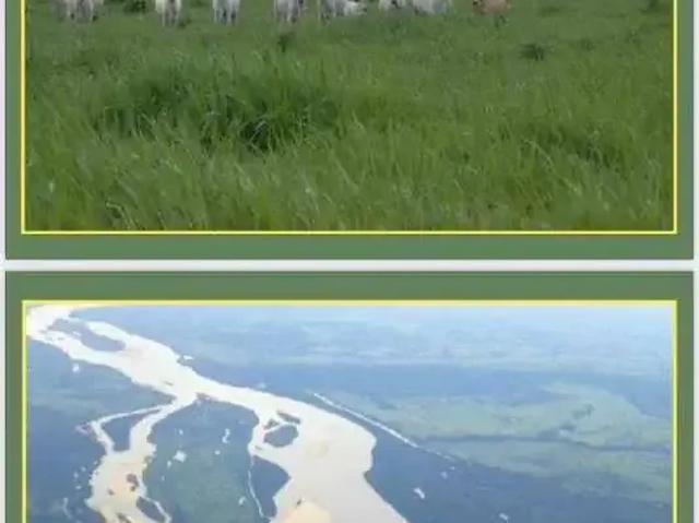 Sítio e chácara venda em Região Geográfica Imediata de Água Boa, Água Boa