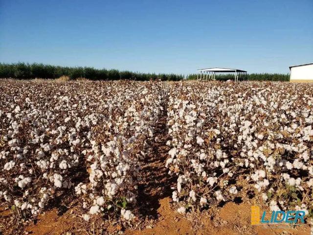 Sítio e chácara venda em Região Geográfica Imediata de Água Boa, Água Boa