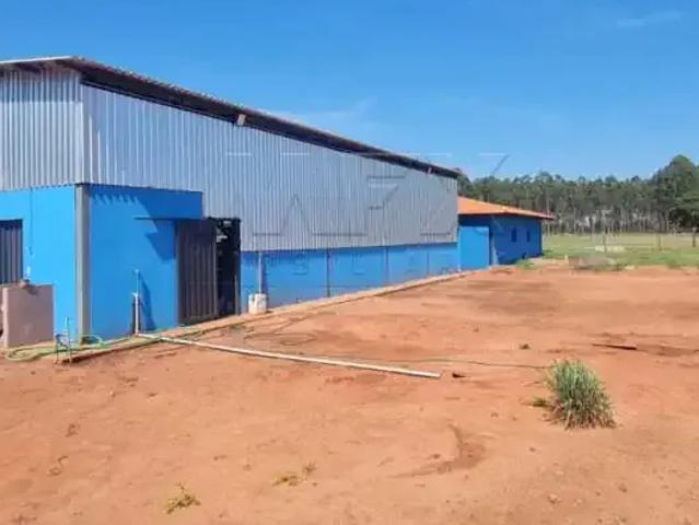 Sítio e chácara venda em Região Geográfica Imediata de Três Lagoas, Água Clara