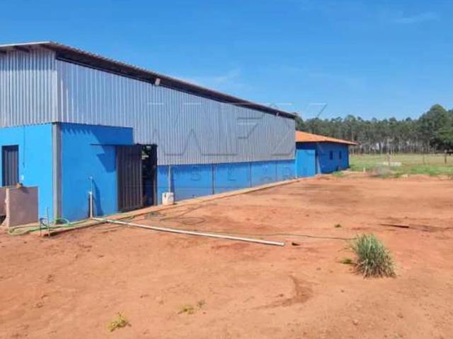 Sítio e chácara venda em Jardim São Judas Tadeu, Água Clara